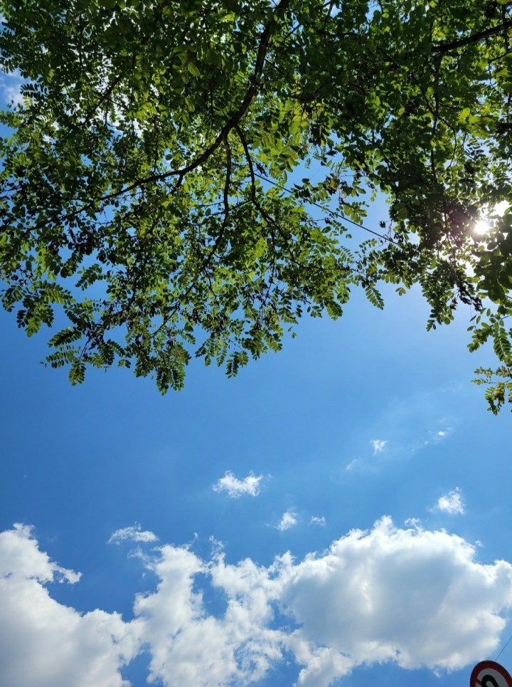 정혜영 언어학습발달센터 로고